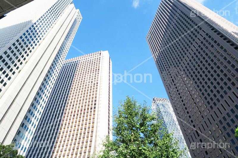 新宿西口ビル群,西口,新宿,新宿区,ビル,都会,ビル群,高層ビル,ビジネス,都庁前,オフィス街,オフィス,office,shinjuku,building,西新宿