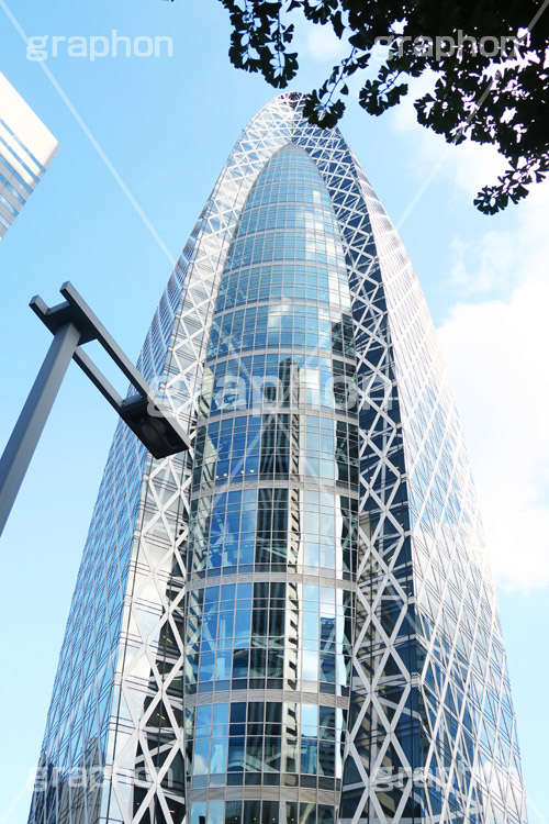 新宿コクーンタワー,コクーン,タワー,新宿,新宿西口,西口,駅前,tower,cocoon,building,office,feature,オフィス,ビル,高層ビル,オフィスビル,近未来,編目,編み目,真下,見上げ,反射,西新宿