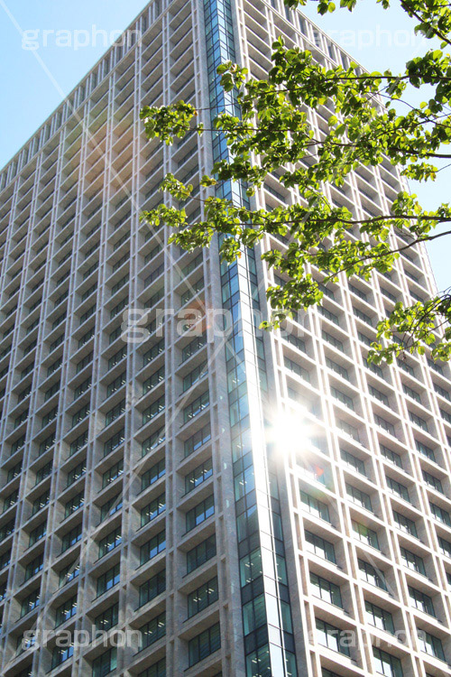 東京日本橋タワー,タワー,ショップ,レストラン,商業施設,商業,ショッピング,tower,building,shopping,高層ビル,ビル,中央区,施設,オフィス,オフィスビル,ビジネス,office,business