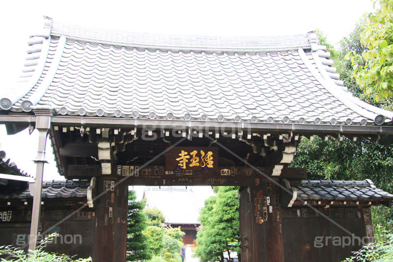 経王寺,谷中,名所,スポット,下谷,下町,台東区,寺町,寺院,区境,日暮里,寺,お寺,大黒山,日蓮宗,荒川区,西日暮里,参拝,お参り