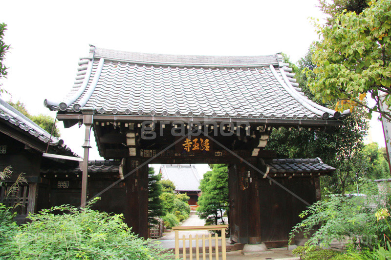 経王寺,谷中,名所,スポット,下谷,下町,台東区,寺町,寺院,区境,日暮里,寺,お寺,大黒山,日蓮宗,荒川区,西日暮里,参拝,お参り