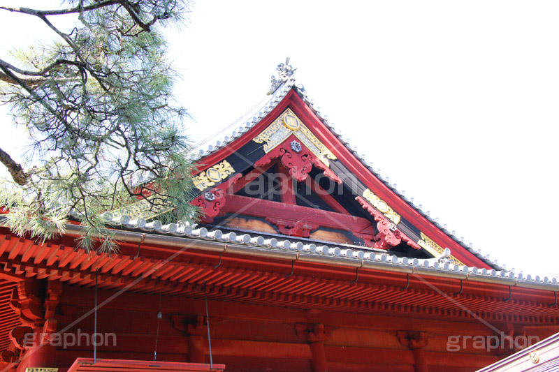 寬永寺,上野,うえの,台東区,下町,天台宗,徳川家光,寺,寺院,参拝,お参り,清水観音堂,清水,観音,文化財,重要文化財,江戸