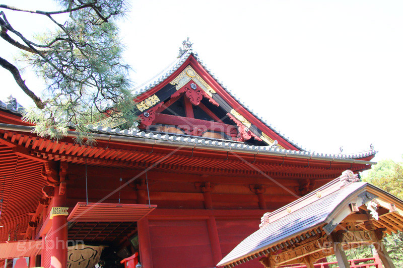 寬永寺,上野,うえの,台東区,下町,天台宗,徳川家光,寺,寺院,参拝,お参り,清水観音堂,清水,観音,文化財,重要文化財,江戸
