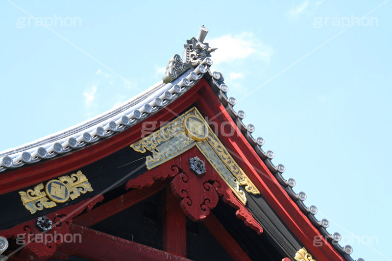 寬永寺,上野,うえの,台東区,下町,天台宗,徳川家光,寺,寺院,参拝,お参り,清水観音堂,清水,観音,文化財,重要文化財,江戸