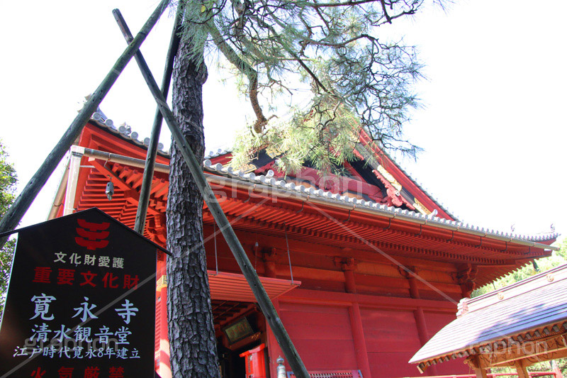 寬永寺,上野,うえの,台東区,下町,天台宗,徳川家光,寺,寺院,参拝,お参り,清水観音堂,清水,観音,文化財,重要文化財,江戸