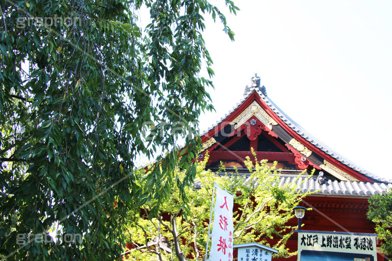寬永寺,上野,うえの,台東区,下町,天台宗,徳川家光,寺,寺院,参拝,お参り,清水観音堂,清水,観音,文化財,重要文化財,江戸,やなぎ,柳