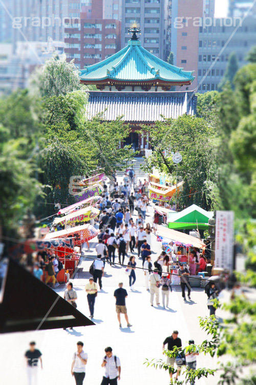 弁天堂,弁天,上野,うえの,台東区,下町,不忍池,寺,寺院,参拝,お参り,ヒンドゥー教,女神,東叡山寛永寺,寛永寺,江戸,はす,蓮,ボート池,祭り,お祭り,出店,屋台,縁日
