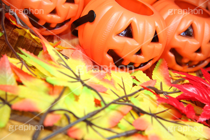 ジャックオーランタン,ハロウィン,はろうぃん,ハロウィーン,Halloween,かぼちゃ,カボチャ,南瓜,ランタン,イベント,秋,紅葉,落ち葉,もみじ,オーナメント,ornament,パンプキン,pumpkin,行事