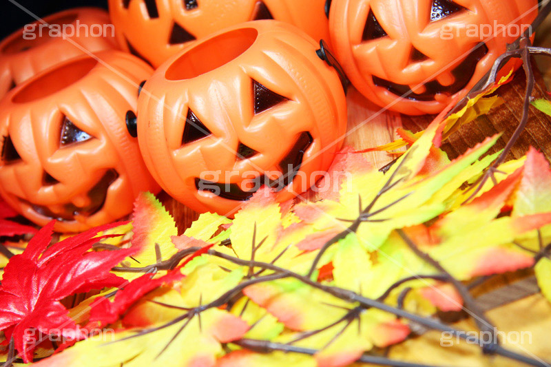 ジャックオーランタン,ハロウィン,はろうぃん,ハロウィーン,Halloween,かぼちゃ,カボチャ,南瓜,ランタン,イベント,秋,紅葉,落ち葉,もみじ,オーナメント,ornament,パンプキン,pumpkin,行事