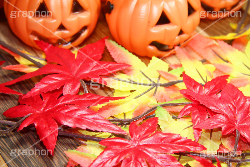 ジャックオーランタン,ハロウィン,はろうぃん,ハロウィーン,Halloween,かぼちゃ,カボチャ,南瓜,ランタン,イベント,秋,紅葉,落ち葉,もみじ,オーナメント,ornament,パンプキン,pumpkin,行事