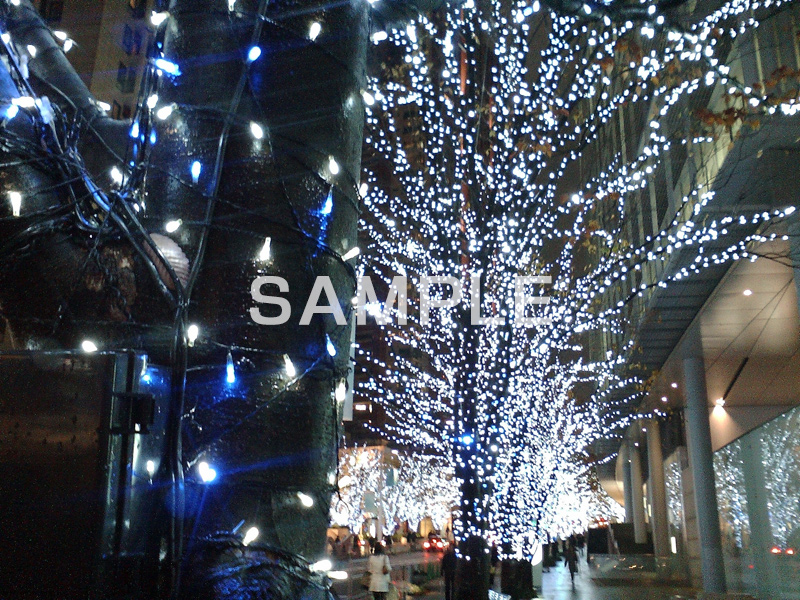 イルミネーション,イルミ,電飾,電球,発光ダイオード六本木,イベント,行事,LED,illumination