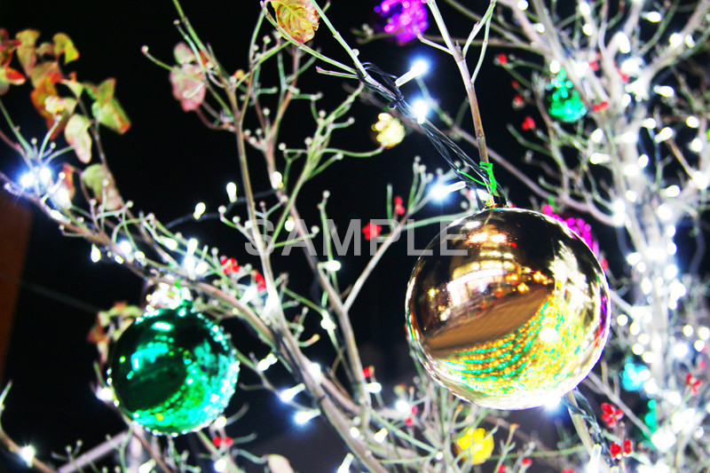 イルミネーション,イルミ,illumination,電飾,電球,発光ダイオード,LED,冬,キラキラ,綺麗,きれい,キレイ,煌,輝,デート,スポット,都内,クリスマス,オーナメント,ツリー,飾り,CHRISTMAS,Xmas,イベント,行事
