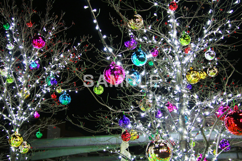イルミネーション,イルミ,illumination,電飾,電球,発光ダイオード,LED,冬,キラキラ,綺麗,きれい,キレイ,煌,輝,デート,スポット,都内,クリスマス,オーナメント,ツリー,飾り,CHRISTMAS,Xmas,イベント,行事