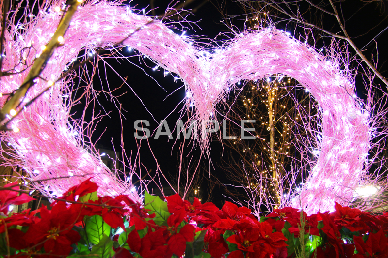 イルミネーション,イルミ,illumination,電飾,電球,発光ダイオード,LED,冬,キラキラ,綺麗,きれい,キレイ,煌,輝,デート,スポット,都内,クリスマス,自由が丘,ハート,アーチ,イベント,恋愛,失恋,恋,愛,目黒区,行事