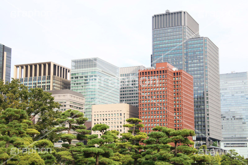 大手町のビル群,ビル,ビル群,大手町,千代田区,building,tokyo,japan,office,都会,東京,オフィスビル,ビジネス街,中心,高層ビル