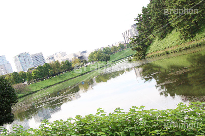 皇居,天皇,宮殿,東京,千代田区,大手町,お堀,溜池,江戸城,内堀,堀,重要文化財,japan,tokyo