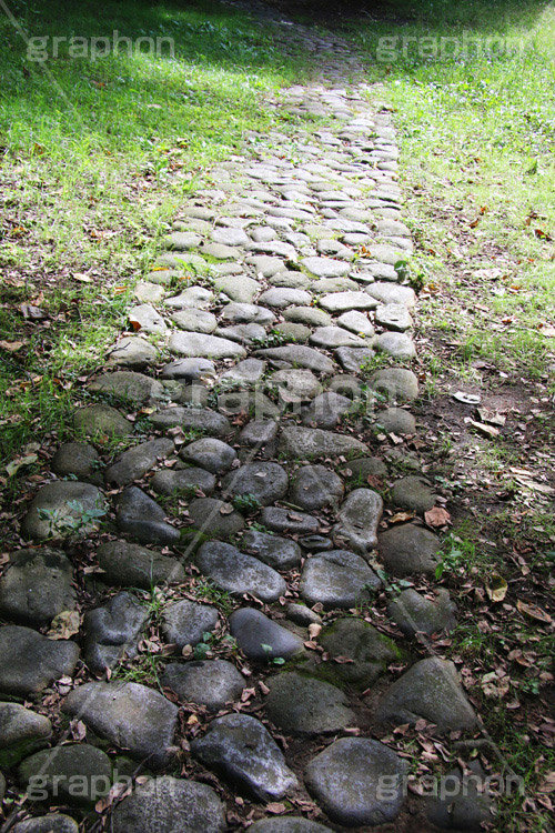 石畳の道,石畳,石,敷,地面,公園,道,小道,雑草,草木,自然