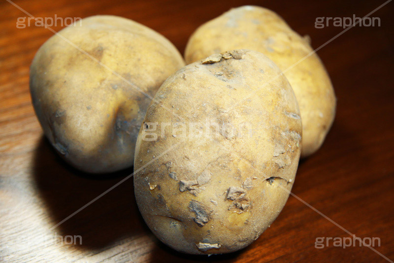 ジャガイモ,じゃがいも,じゃが芋,いも,イモ,芋,ドロ,泥,土,新鮮,ポテト,vegetable,potato