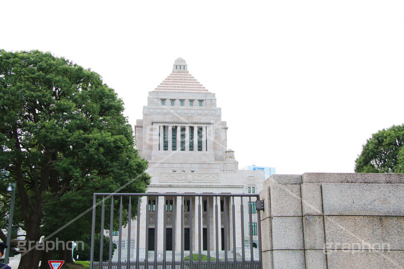 国会議事堂,国会,中枢,国,国家,日本,japan,政治,政治家,議員,議会,霞が関,politics,government,政権,権力,選挙,デモ,シンボル,symbol,帝国,参議院,衆議院,永田町