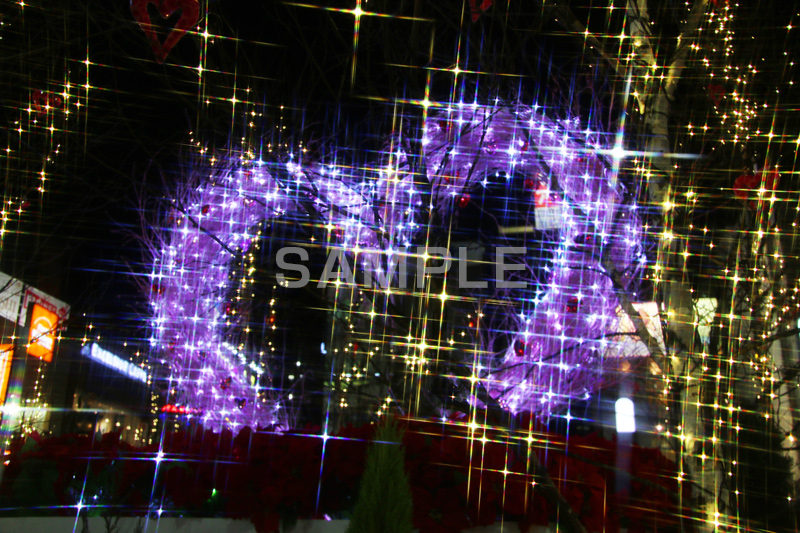 イルミネーション,イルミ,illumination,電飾,電球,発光ダイオード,LED,冬,キラキラ,綺麗,きれい,キレイ,煌,輝,デート,スポット,都内,クリスマス,自由が丘,ハート,アーチ,ロマンチック,イベント,恋愛,失恋,恋,愛,目黒区,行事