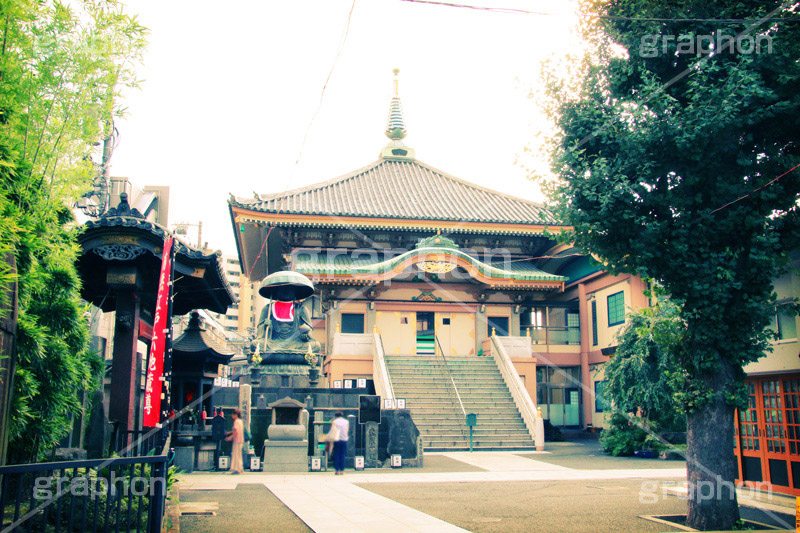 真性寺(ヴィンテージ),豊島区,トイカメラ撮影,トイカメラ,ヴィンテージ,ビンテージ,レトロ,お洒落,おしゃれ,オシャレ,味わい,トンネル効果