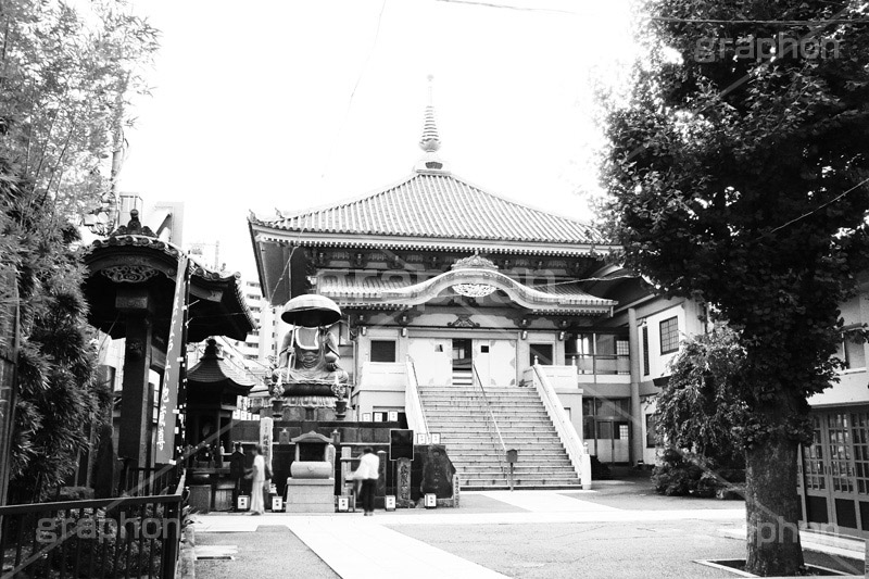 真性寺(モノクロ),モノクロ,白黒,しろくろ,モノクローム,単色画,単彩画,単色