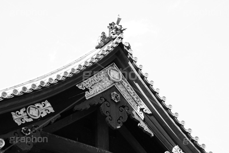 寛永寺(モノクロ),モノクロ,白黒,しろくろ,モノクローム,単色画,単彩画,単色
