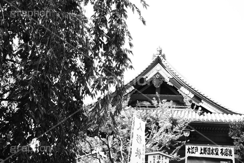 寛永寺(モノクロ),モノクロ,白黒,しろくろ,モノクローム,単色画,単彩画,単色