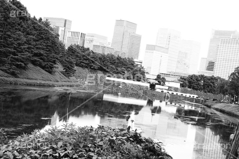 皇居のお堀(モノクロ),モノクロ,白黒,しろくろ,モノクローム,単色画,単彩画,単色