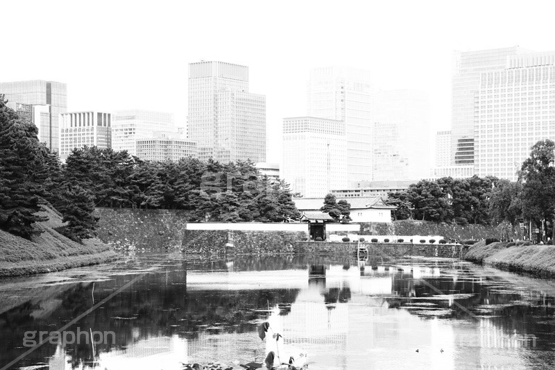 皇居のお堀(モノクロ),モノクロ,白黒,しろくろ,モノクローム,単色画,単彩画,単色