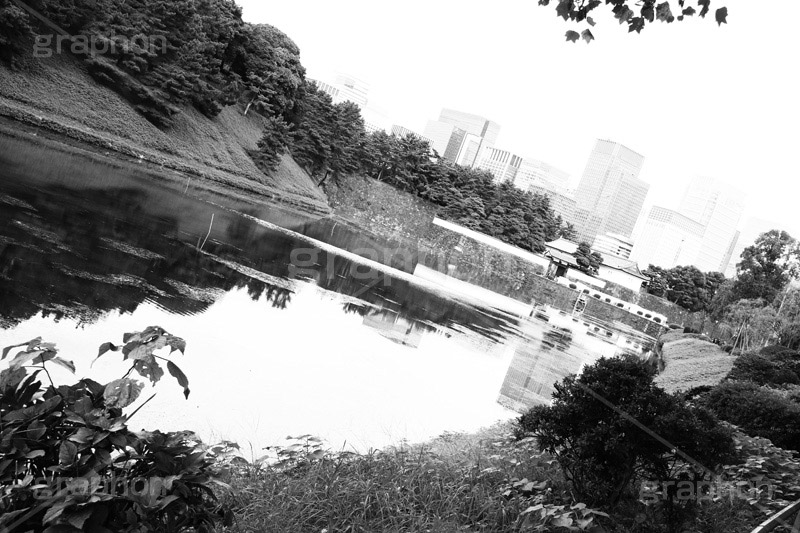 皇居のお堀(モノクロ),モノクロ,白黒,しろくろ,モノクローム,単色画,単彩画,単色