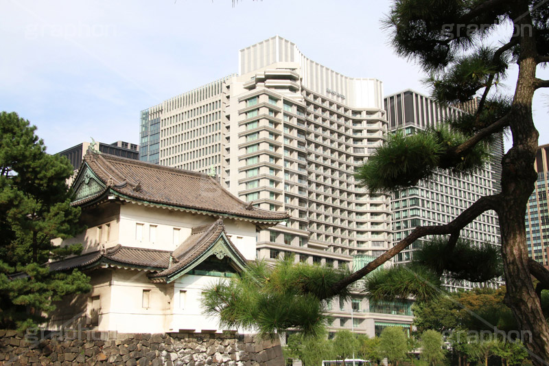 今と昔が共存する美しい東京,美しい,今,昔,共存,都市,皇居,池,城,堀,お堀,内堀,溜池,天皇,宮殿,東京,千代田区,大手町,門,江戸城,桜田門,重要文化財,japan,tokyo