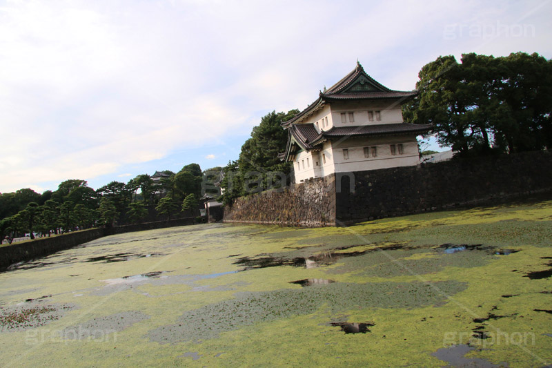皇居,池,城,堀,お堀,内堀,溜池,天皇,宮殿,東京,千代田区,大手町,門,江戸城,桜田門,重要文化財,japan,tokyo