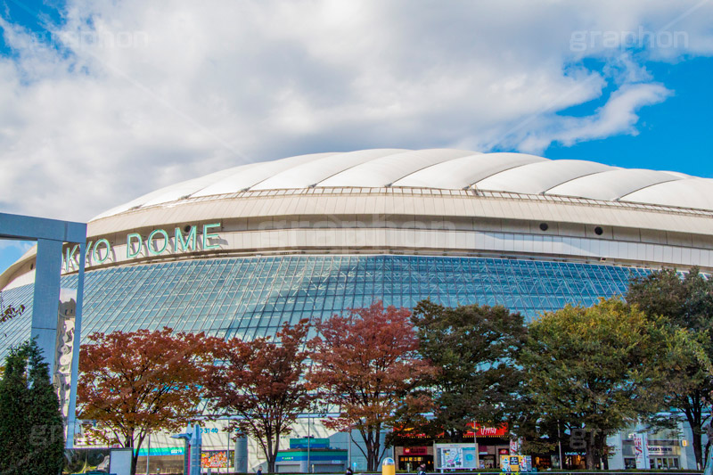 東京ドーム,ドーム,東京ドームシティ,dome,live,concert,baseball,BIG EGG,ビッグエッグ,野球,ベイスボール,野球場,巨人,ジャイアンツ,ライブ,ライヴ,コンサート,水道橋,春日,後楽園,文京区