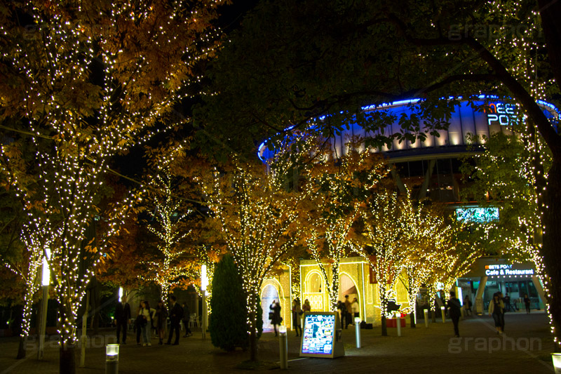 東京ドームシティのイルミネーション,東京ドーム,ドームシティ,東京ドームシティ,遊園地,施設,イルミネーション,イルミ,電飾,電球,発光ダイオード,冬,キラキラ,綺麗,きれい,キレイ,煌,輝,デート,スポット,都内,オーナメント,飾り,イベント,ビッグエッグ,野球,ベイスボール,野球場,巨人,ジャイアンツ,ライブ,ライヴ,コンサート,水道橋,春日,後楽園,文京区,行事,LED,illumination,dome,live,concert,baseball,BIG EGG