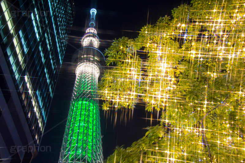 東京スカイツリーとイルミネーション,塔,ツリー,施設,イルミネーション,イルミ,電飾,電球,発光ダイオード,冬,キラキラ,綺麗,きれい,キレイ,煌,輝,デート,スポット,都内,飾り,イベント,スカイツリー,東京スカイツリー,墨田区,押上,フレア,行事,タワー,TOKYO SKYTREE,LED,illumination,tree,japan,tower,flare