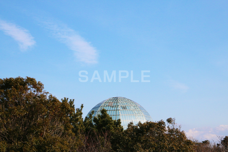葛西,かさい,葛西臨海公園,公園,都立公園,江戸川区,東京湾,沖合,臨海,水族館