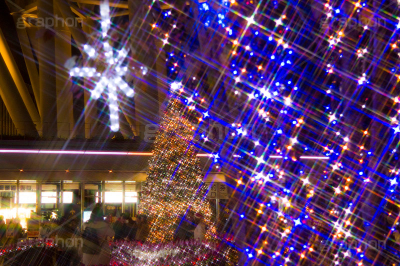 東京スカイツリータウンのイルミネーション,ツリー,施設,イルミネーション,イルミ,illumination,tree,電飾,電球,発光ダイオード,LED,冬,キラキラ,綺麗,きれい,キレイ,煌,輝,デート,スポット,都内,クリスマス,飾り,イベント,スカイツリー,東京スカイツリー,TOKYO SKYTREE,墨田区,押上,クリスマスツリー,クロスフィルタ,フレア,flare,商業施設,行事,solamachi