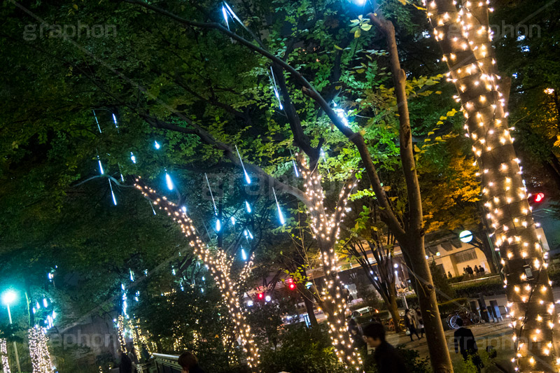 西新宿イルミネーション.illumination museum,西新宿,イルミネーション,イルミ,illumination,高層ビル,オフィス街,ビジネス街,電飾,電球,発光ダイオード,LED,冬,イベント,event,gold,新宿区,街ぐるみプロジェクト,新宿アイランド,新宿センタービル,新宿野村ビル,新宿パークタワー,新宿三井ビルディング,ゴールド,行事