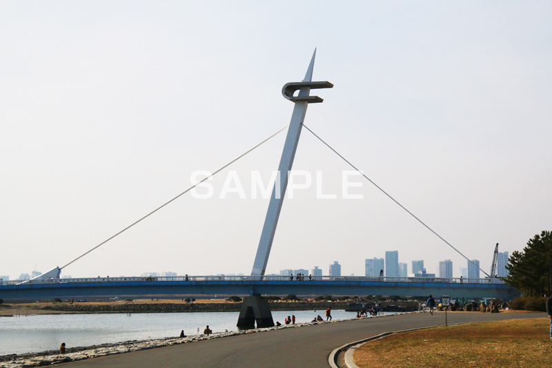 葛西,かさい,葛西臨海公園,公園,都立公園,江戸川区,東京湾,沖合,臨海