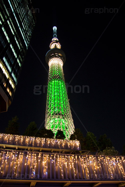 東京スカイツリーとイルミネーション,塔,ツリー,施設,イルミネーション,イルミ,illumination,tree,電飾,電球,発光ダイオード,LED,冬,キラキラ,綺麗,きれい,キレイ,煌,輝,デート,スポット,都内,クリスマス,飾り,イベント,スカイツリー,東京スカイツリー,TOKYO SKYTREE,墨田区,押上,行事,japan,tower,タワー