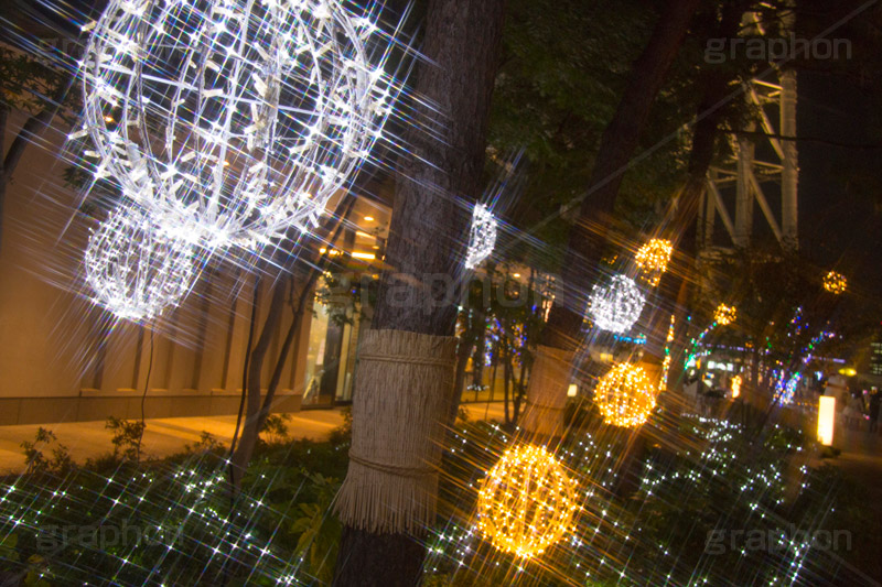 東京スカイツリータウンのイルミネーション,ツリー,施設,イルミネーション,イルミ,illumination,tree,電飾,電球,発光ダイオード,LED,冬,キラキラ,綺麗,きれい,キレイ,煌,輝,デート,スポット,都内,クリスマス,飾り,イベント,スカイツリー,東京スカイツリー,TOKYO SKYTREE,墨田区,押上,クロスフィルタ,フレア,flare,商業施設,行事,solamachi
