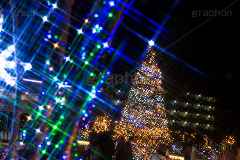 東京スカイツリータウンのイルミネーション,ツリー,施設,イルミネーション,イルミ,illumination,tree,電飾,電球,発光ダイオード,LED,冬,キラキラ,綺麗,きれい,キレイ,煌,輝,デート,スポット,都内,クリスマス,飾り,イベント,スカイツリー,東京スカイツリー,TOKYO SKYTREE,墨田区,押上,クリスマスツリー,ツリー,Christmas,クロスフィルタ,フレア,flare,商業施設,行事,solamachi