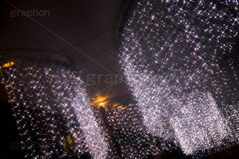 東京スカイツリータウンのイルミネーション,ツリー,施設,イルミネーション,イルミ,illumination,tree,電飾,電球,発光ダイオード,LED,冬,キラキラ,綺麗,きれい,キレイ,煌,輝,デート,スポット,都内,クリスマス,飾り,イベント,スカイツリー,東京スカイツリー,TOKYO SKYTREE,墨田区,押上,クロスフィルタ,フレア,flare,商業施設,行事,solamachi