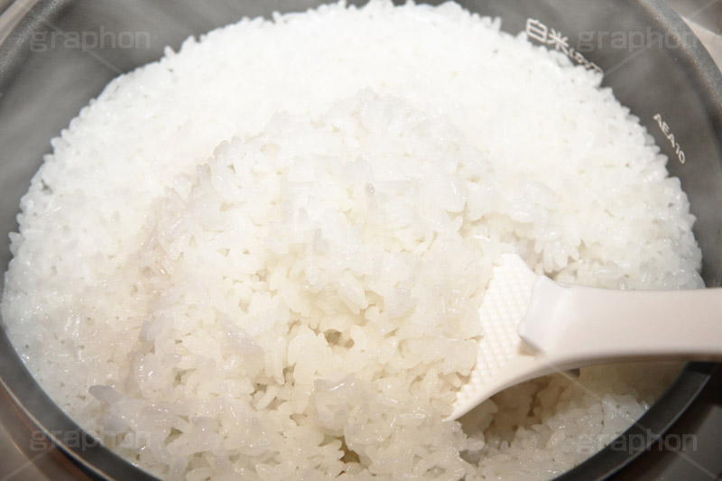 炊き立てのごはん,炊き,米,白米,ご飯,お米,ごはん,和食,日本食,日本料理,湯気,白飯,rice,japan,炊飯,ジャー,炊飯器,しゃもじ,湯気