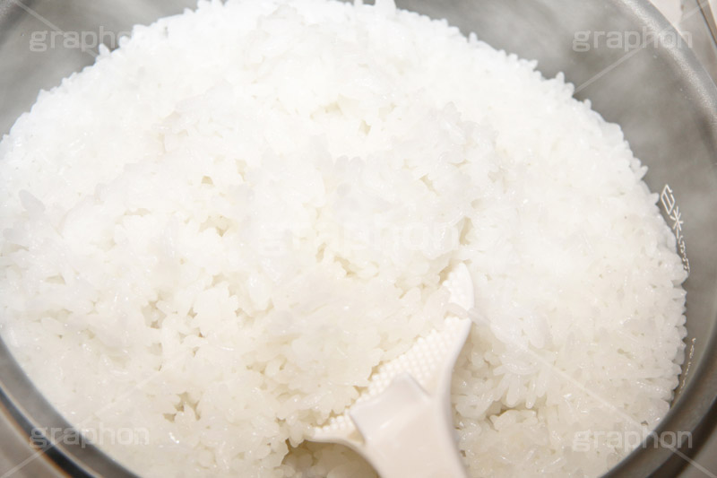 炊き立てのごはん,炊き,米,白米,ご飯,お米,ごはん,和食,日本食,日本料理,湯気,白飯,rice,japan,炊飯,ジャー,炊飯器,しゃもじ,湯気