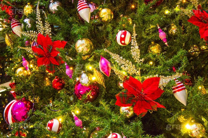 クリスマスオーナメント,ポインセチア,クリスマスツリー,クリスマス,CHRISTMAS,Xmas,ornament,飾り,デコレーション,イルミネーション,イルミ,イベント,冬,行事