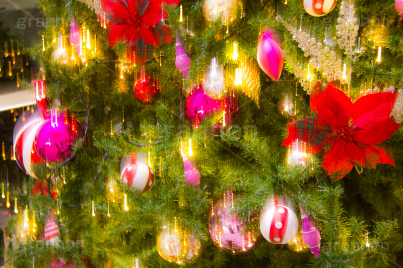 クリスマスオーナメント,ポインセチア,クリスマスツリー,クリスマス,CHRISTMAS,Xmas,ornament,飾り,デコレーション,イルミネーション,イルミ,イベント,冬,ブレ,行事