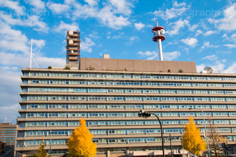 警視庁本部庁舎前の紅葉,紅葉,秋,イチョウ,いちょう,銀杏,警視庁本部庁舎,警視庁,警察,霞が関,虎の門,虎ノ門,国家,機関,庁舎,交差点,国,組織,japan,police