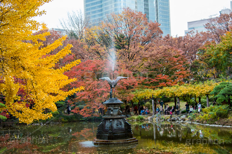 日比谷公園の紅葉,日比谷公園,千代田区,日比谷,公園,紅葉,落ち葉,秋,もみじ,モミジ,いちょう,イチョウ,銀杏,都立公園,霞が関,有楽町,紅葉狩り,季語,噴水,池,東京ミッドタウン日比谷,japan,autumn